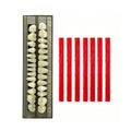 28 Pcs False Teeth Synthetic Resin Dentures Repair Kit D5516