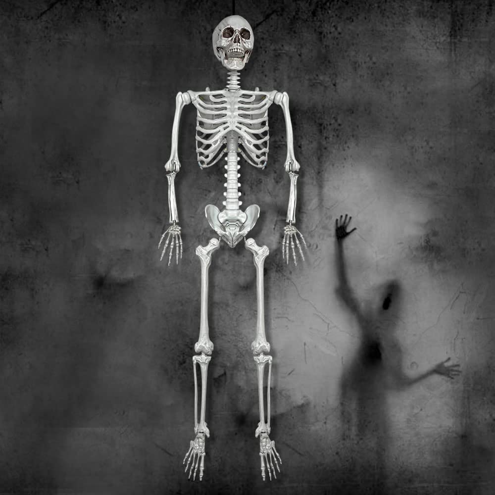 5.4Ft Life Size Human Skeleton with Movable Joints W4960