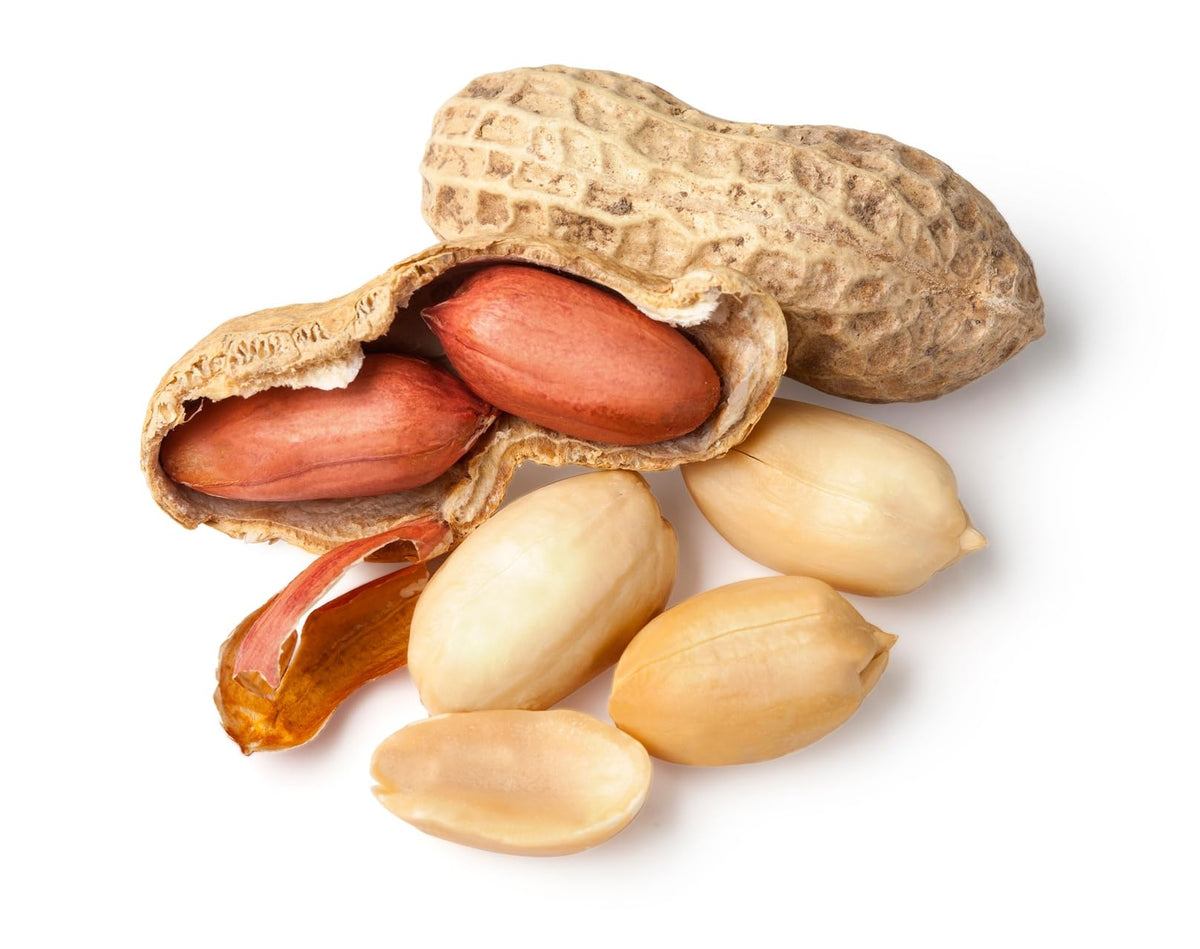 Whole in Shell Raw Peanuts 2.5 Pounds C383