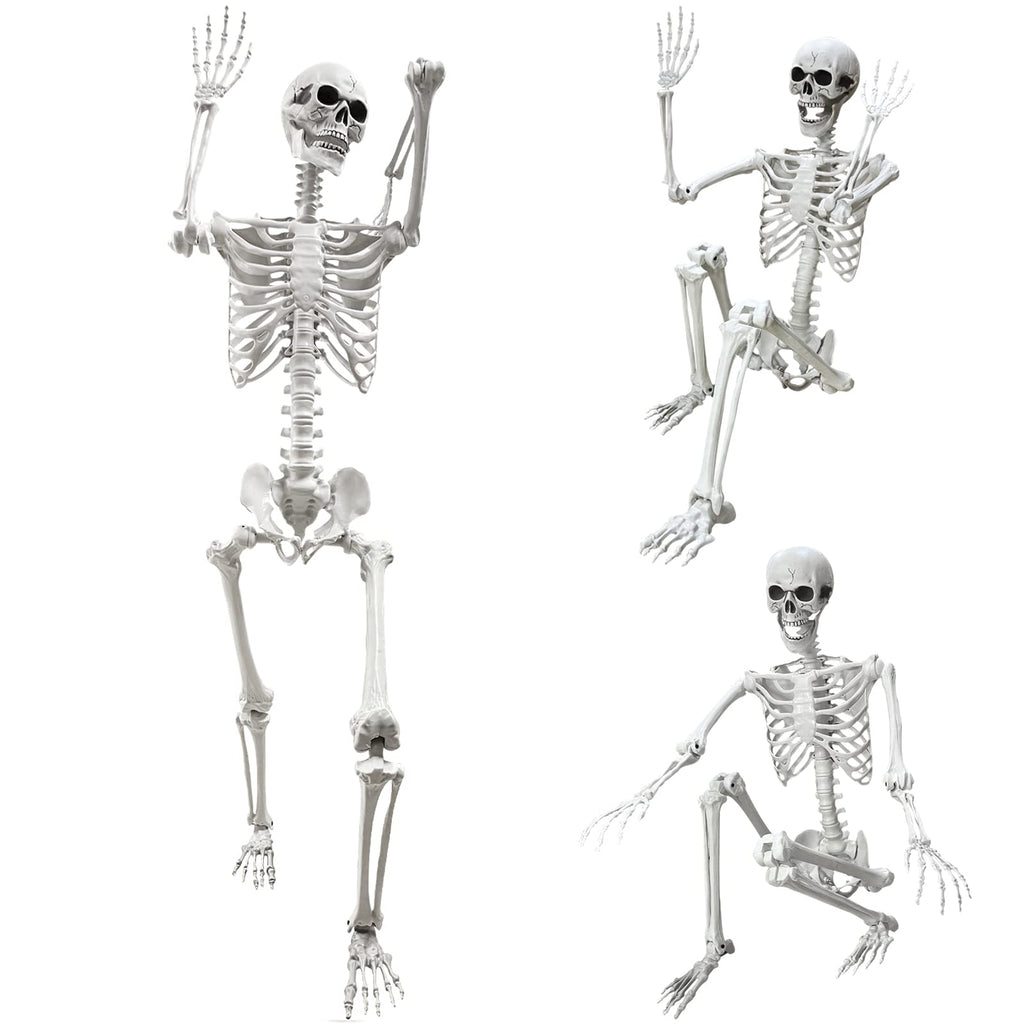 5.4Ft Life Size Human Skeleton with Movable Joints W4960