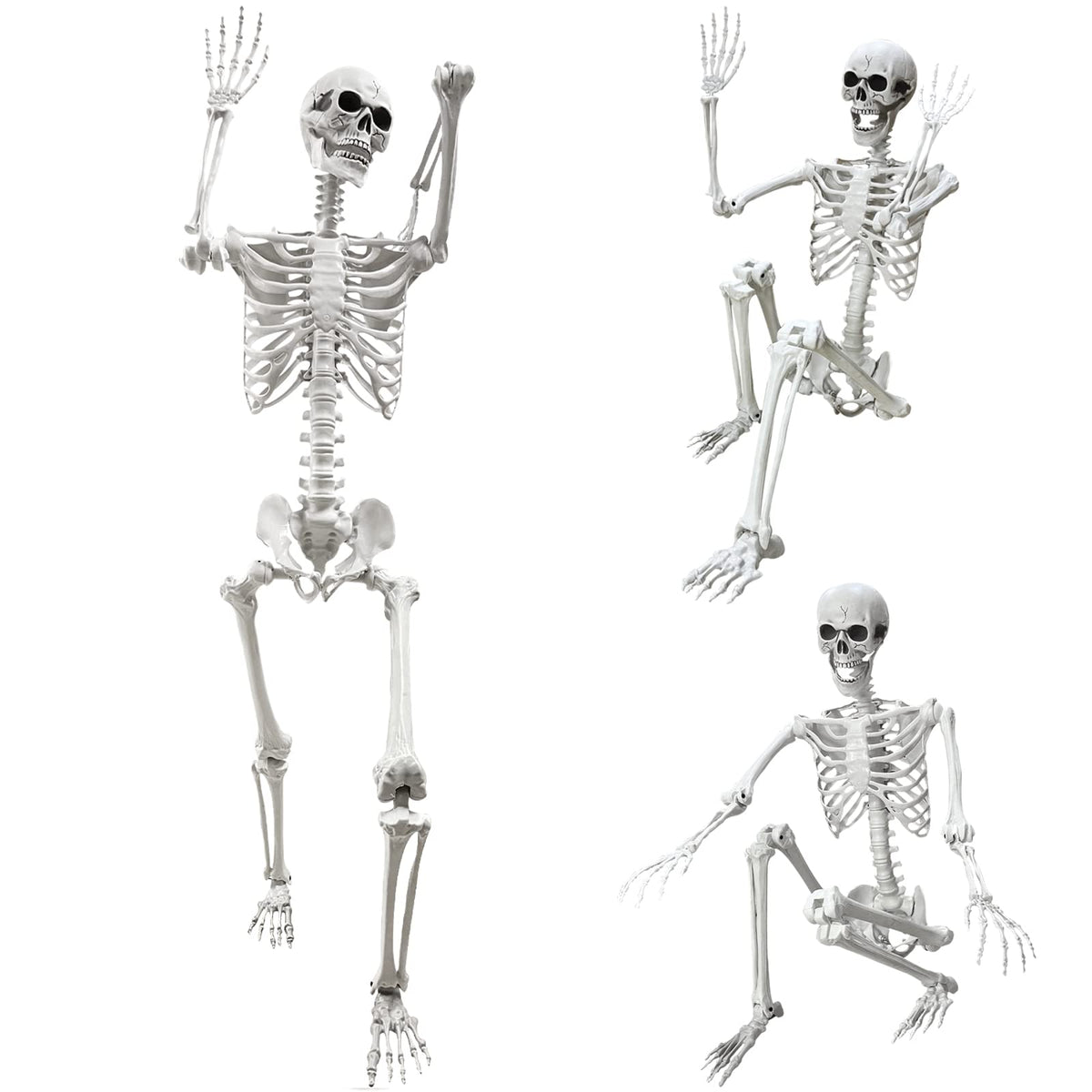 5.4Ft Life Size Human Skeleton with Movable Joints W4960