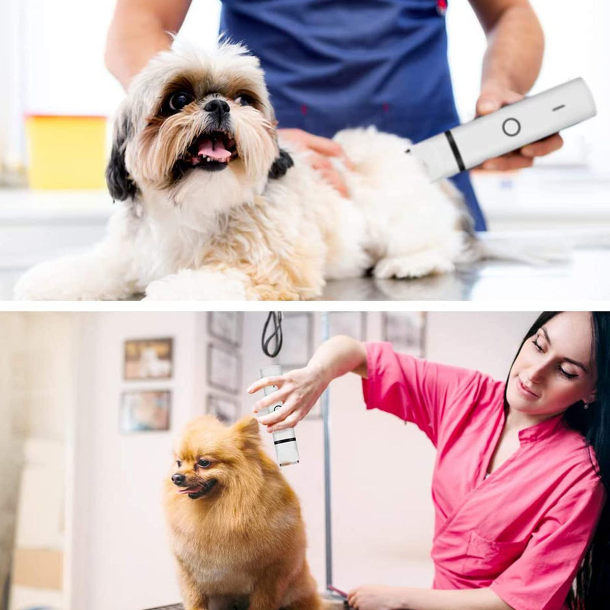 Electric Dog Clippers and Nail Grinder Grooming Kit O907088