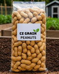 Whole in Shell Raw Peanuts 2.5 Pounds C383
