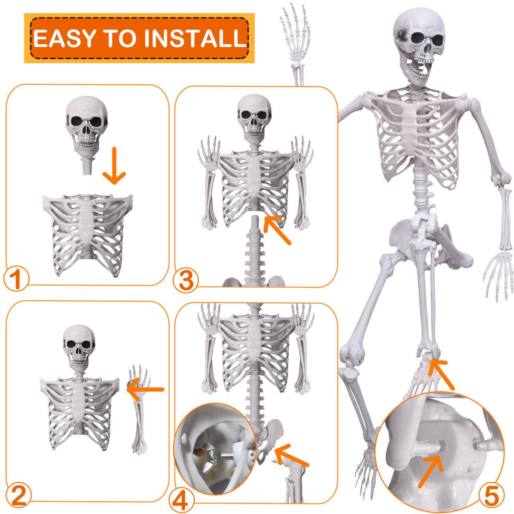 5.4Ft Life Size Human Skeleton with Movable Joints W4960