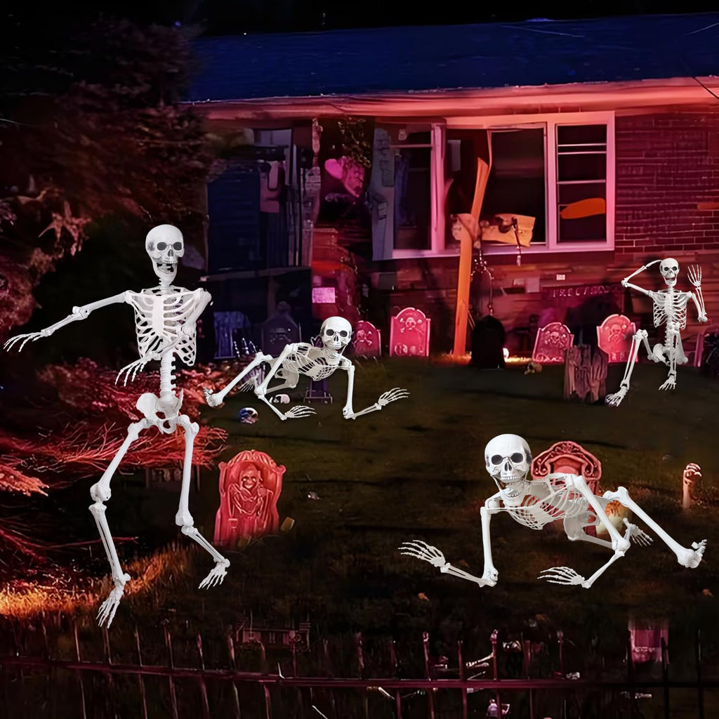 5.4Ft Life Size Human Skeleton with Movable Joints W4960