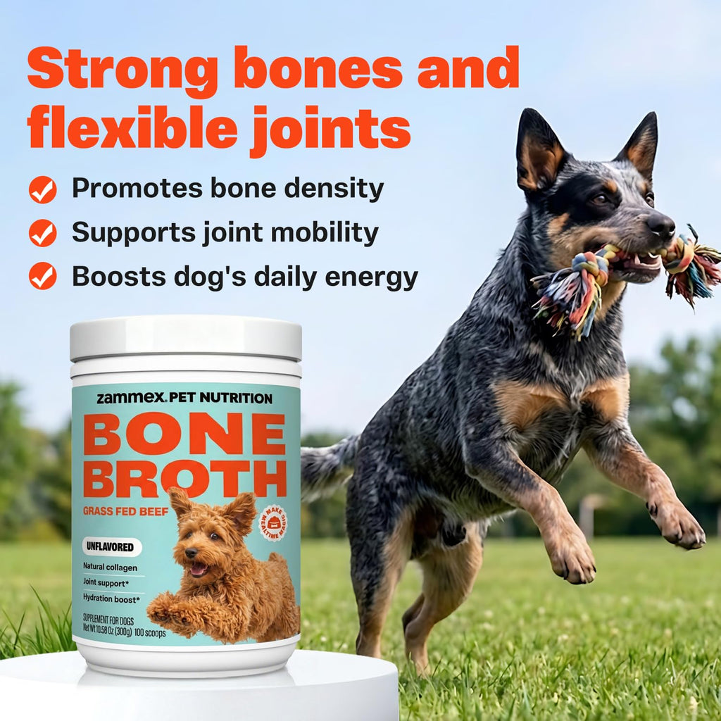 Bone Broth for Dogs W547