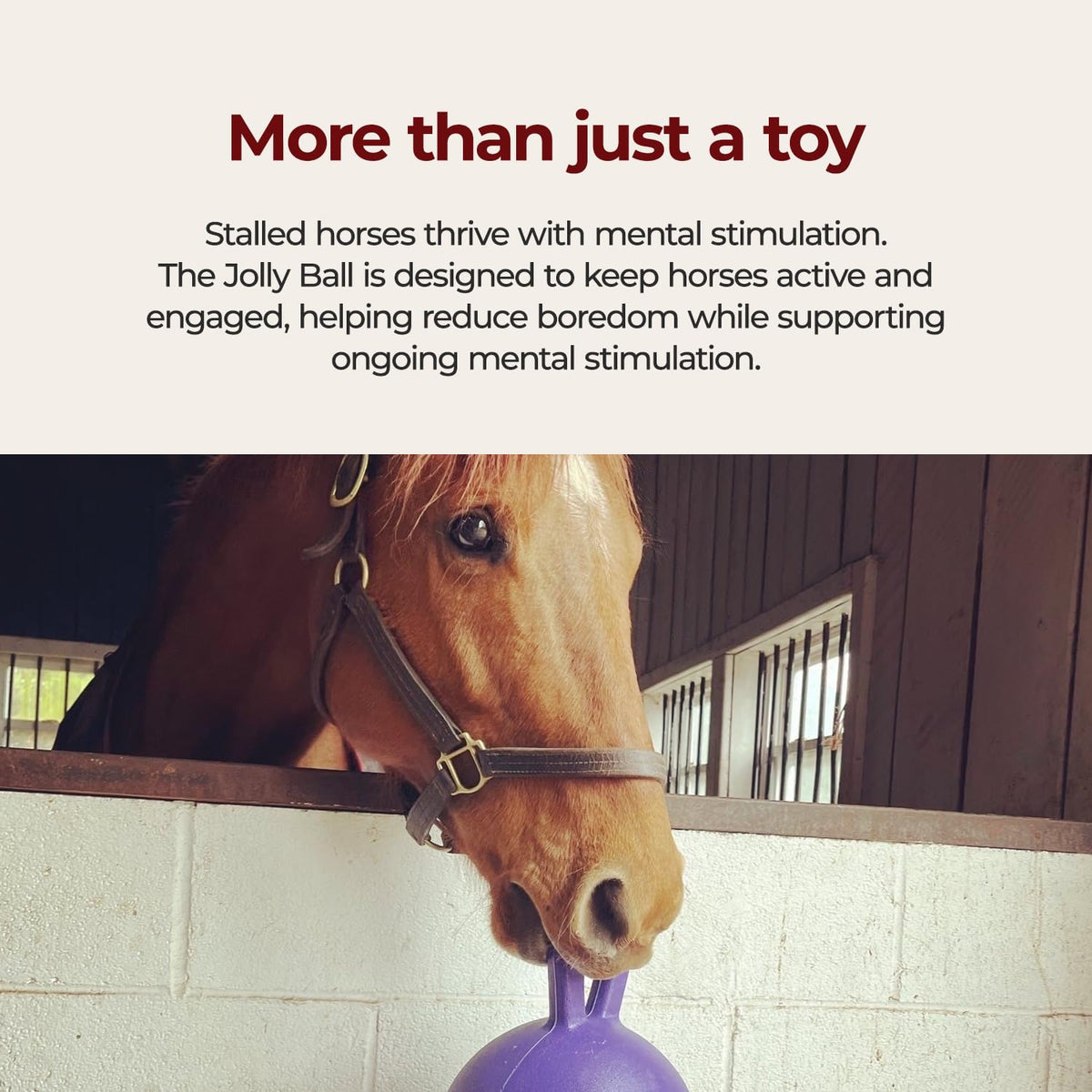 10 in Horse Toy Light Purple U8622