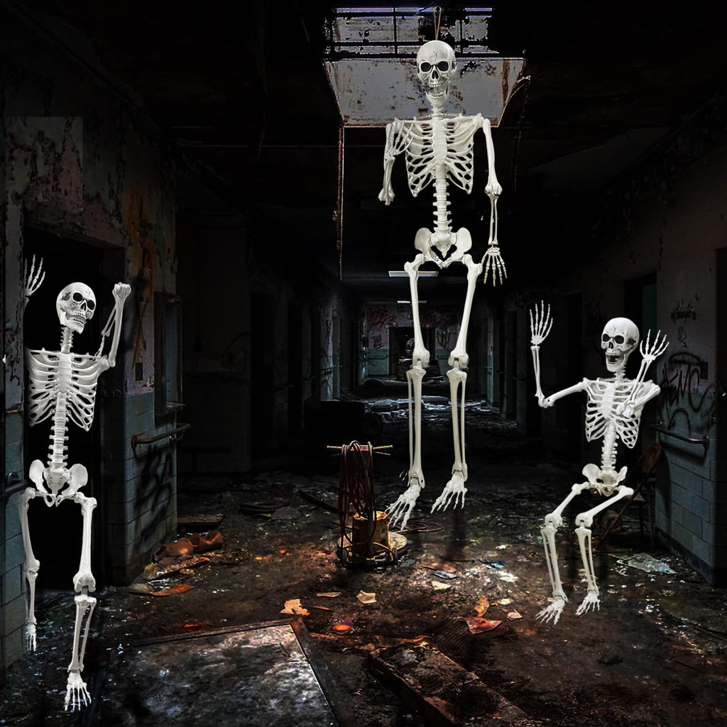 5.4Ft Life Size Human Skeleton with Movable Joints W4960
