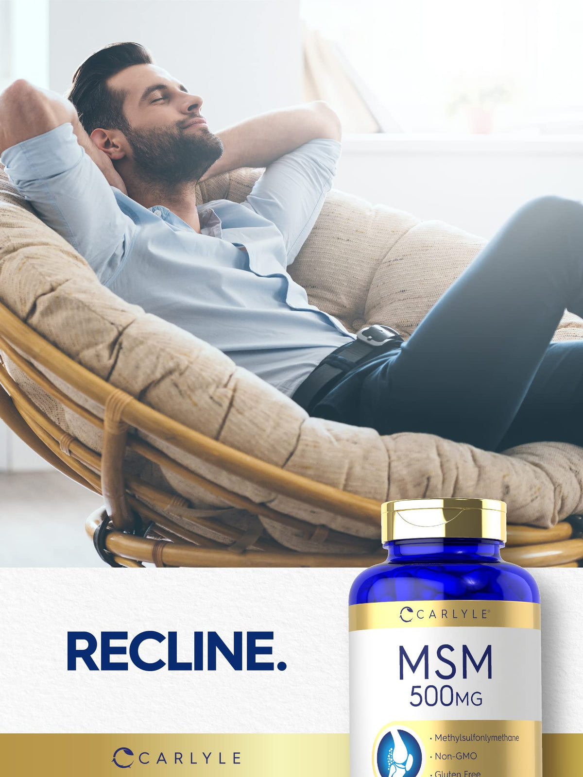 MSM Supplement Capsules 500mg 200 Count P8123