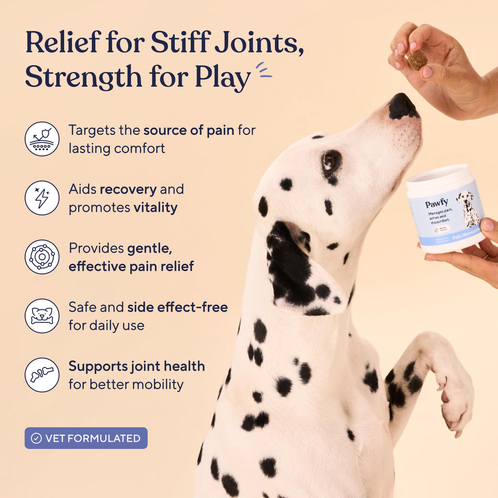 Hip & Joint Supplement for Dogs R950212