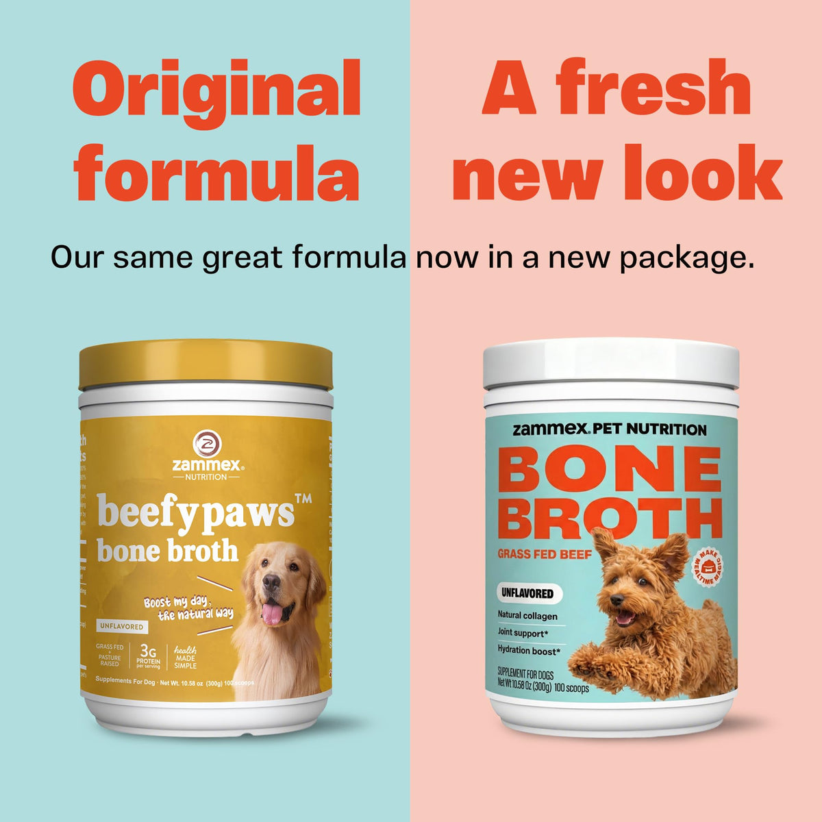Bone Broth for Dogs W547