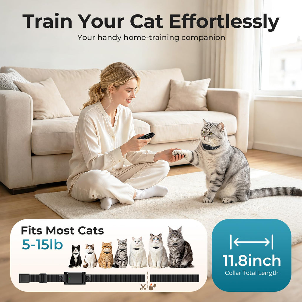 Cat Shock Collar with Remote A351