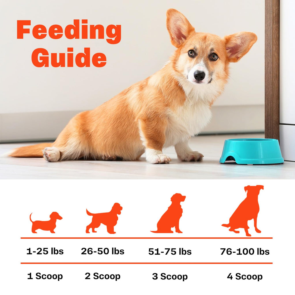 Bone Broth for Dogs W547