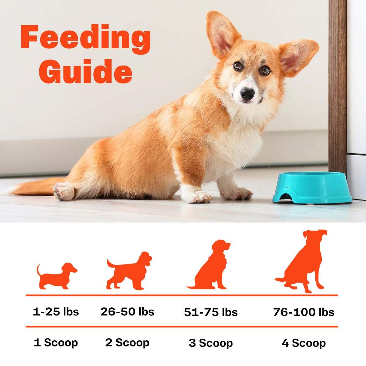 Bone Broth for Dogs W547