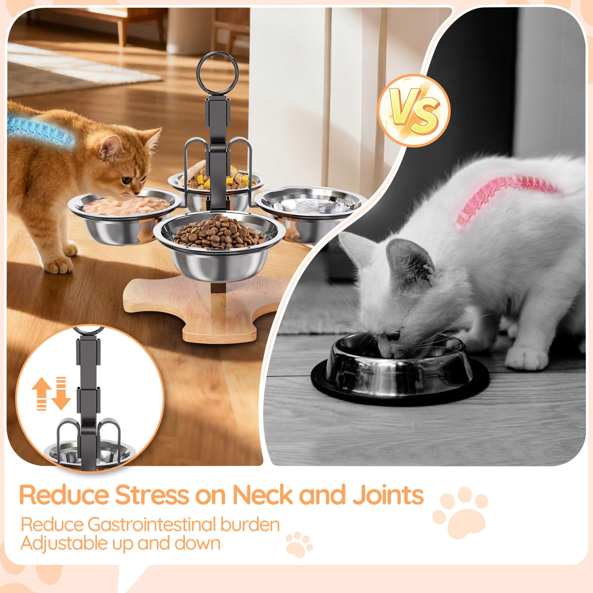Elevated Cat Bowls with Stand H83529
