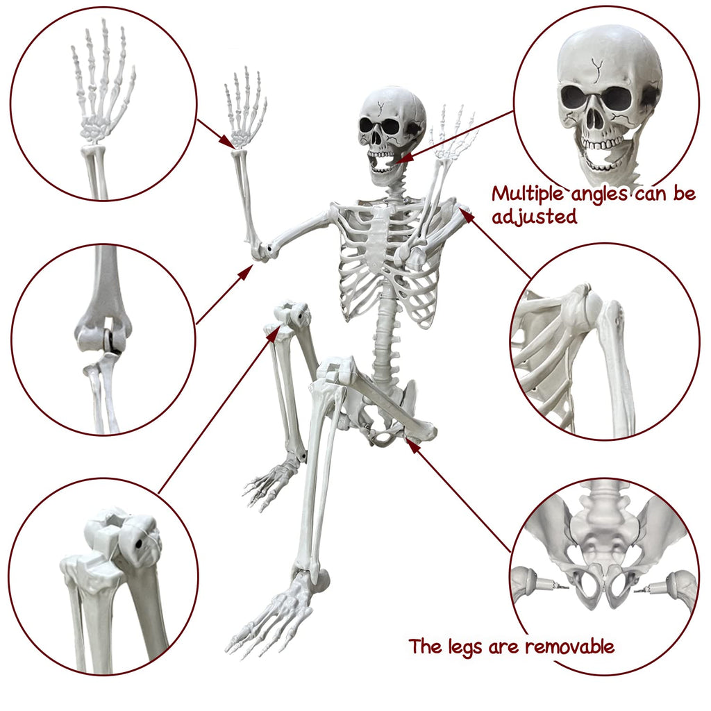 5.4Ft Life Size Human Skeleton with Movable Joints W4960