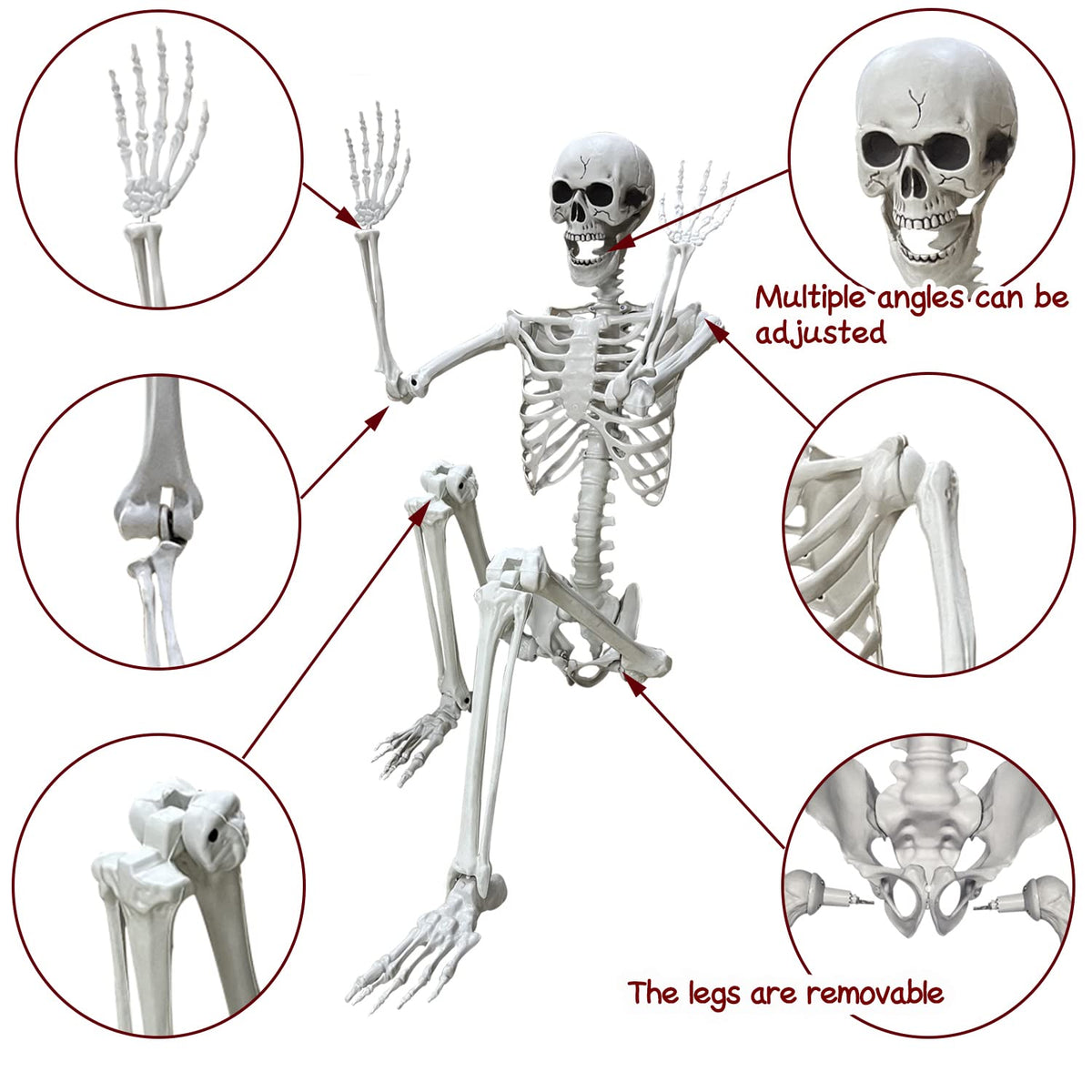 5.4Ft Life Size Human Skeleton with Movable Joints W4960