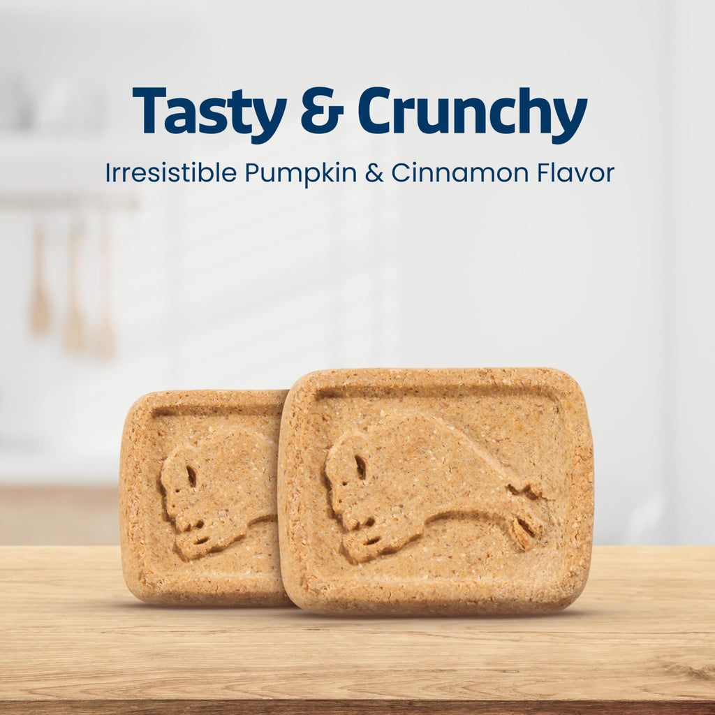 Pumpkin & Cinnamon Dog Biscuits, 16 oz I439