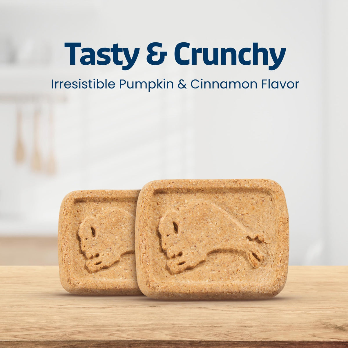 Pumpkin & Cinnamon Dog Biscuits, 16 oz I439