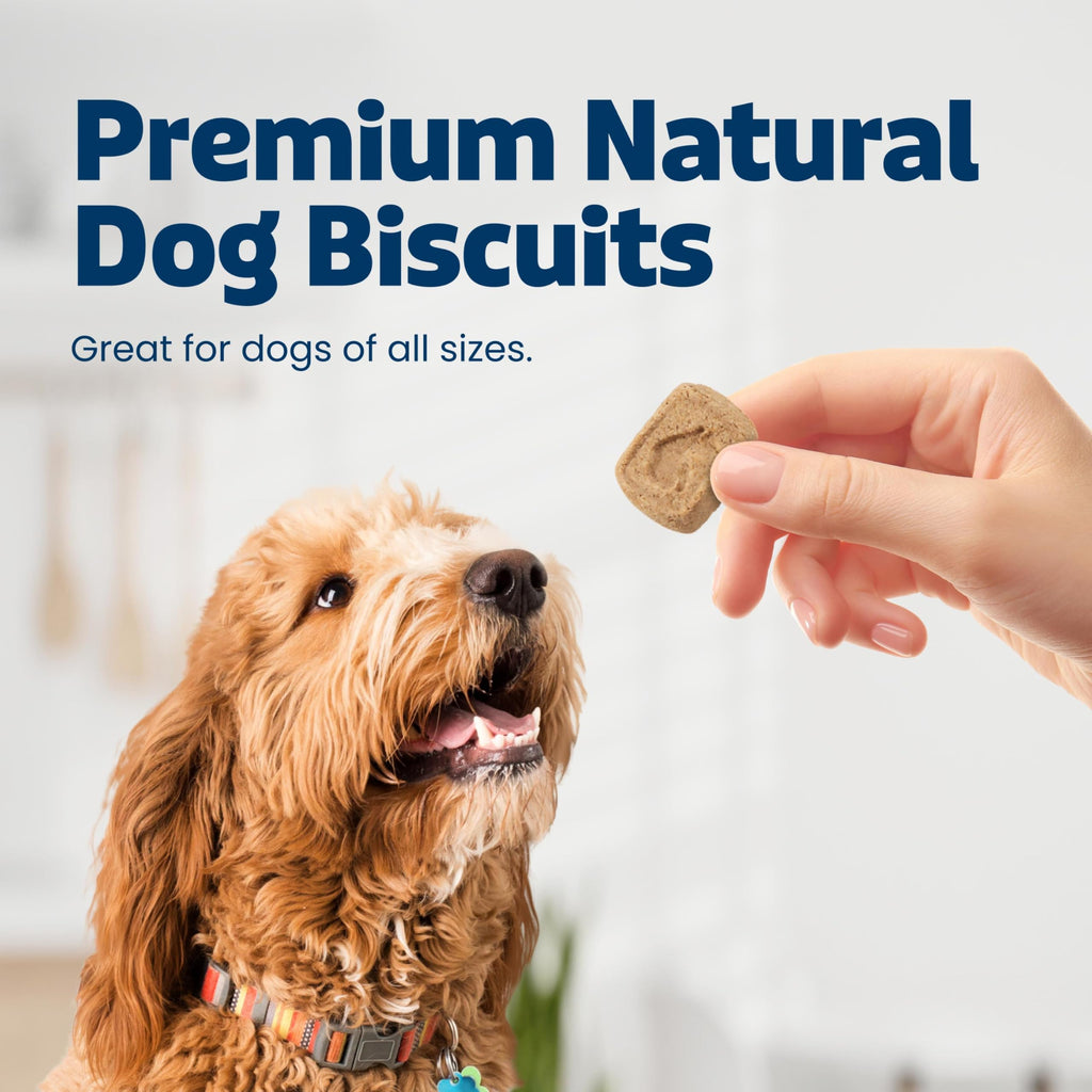Pumpkin & Cinnamon Dog Biscuits, 16 oz I439