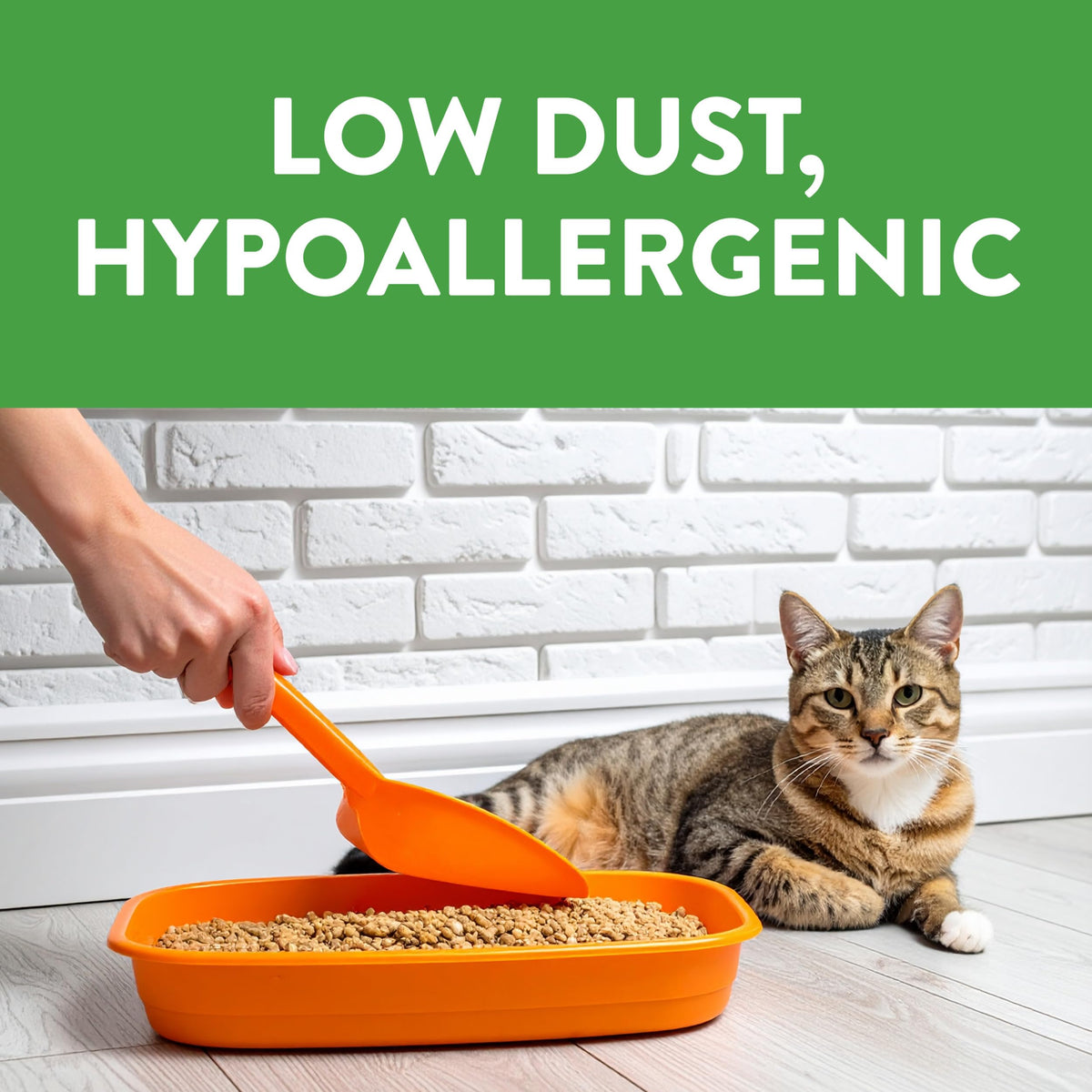 Non-Clumping Cat Litter 17lb R52396