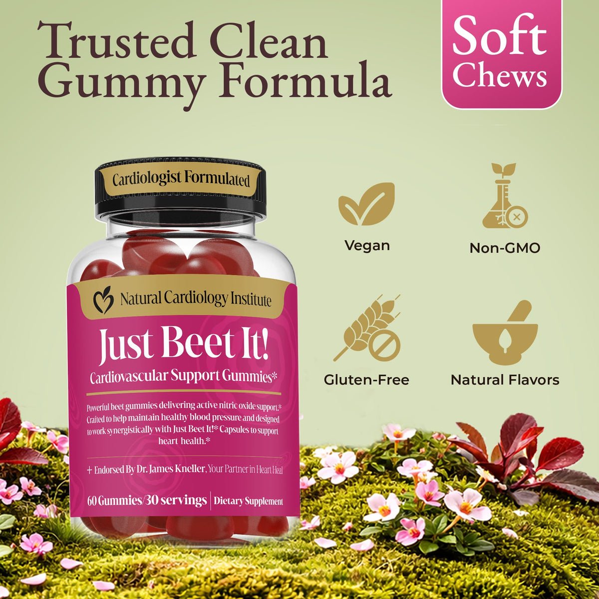 Beet Root Gummies & CoQ10 Y9505