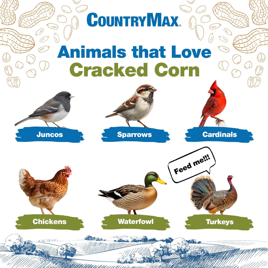 20LB Cracked Corn Chicken Feed M903858