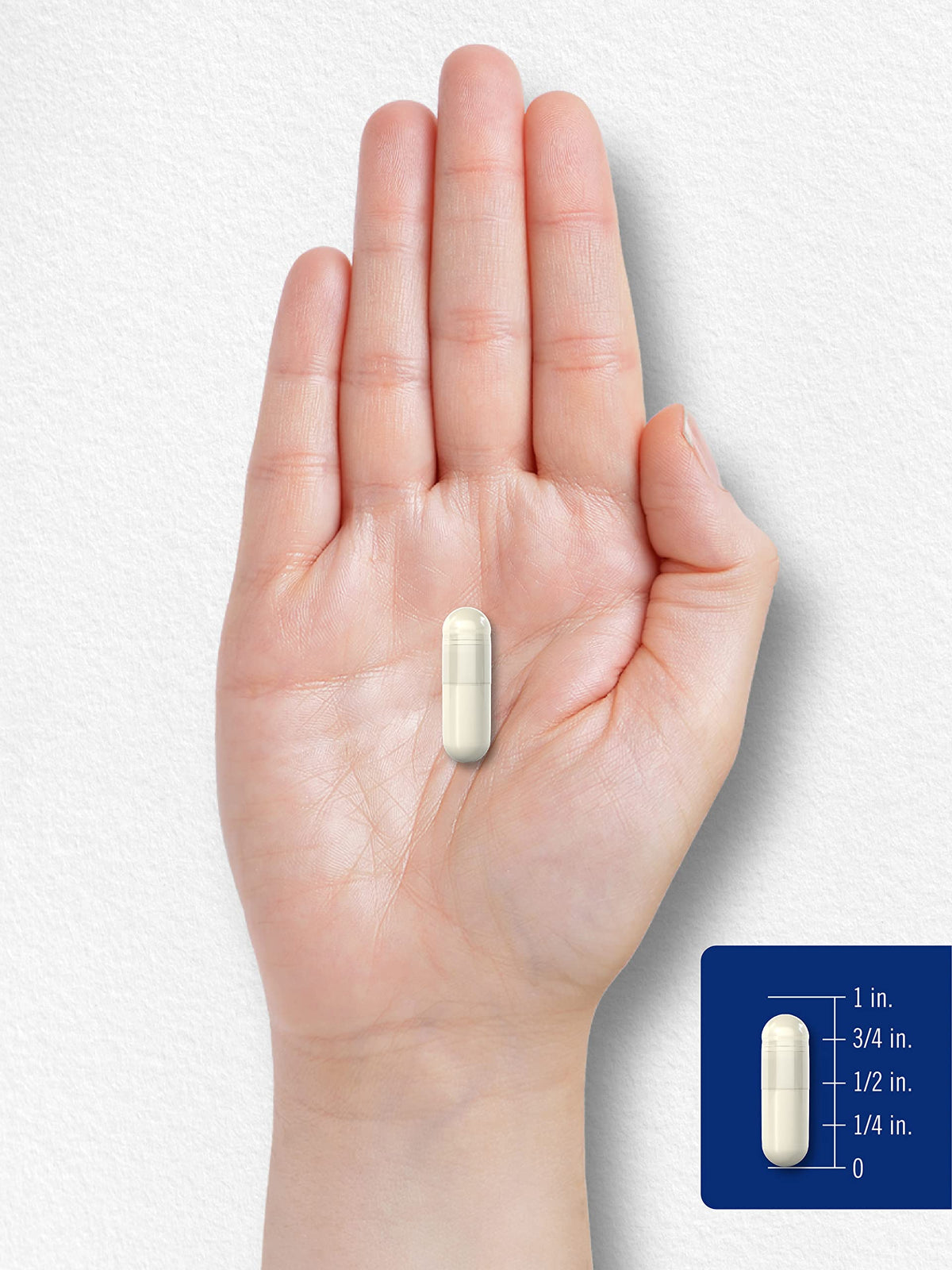 MSM Supplement Capsules 500mg 200 Count P8123