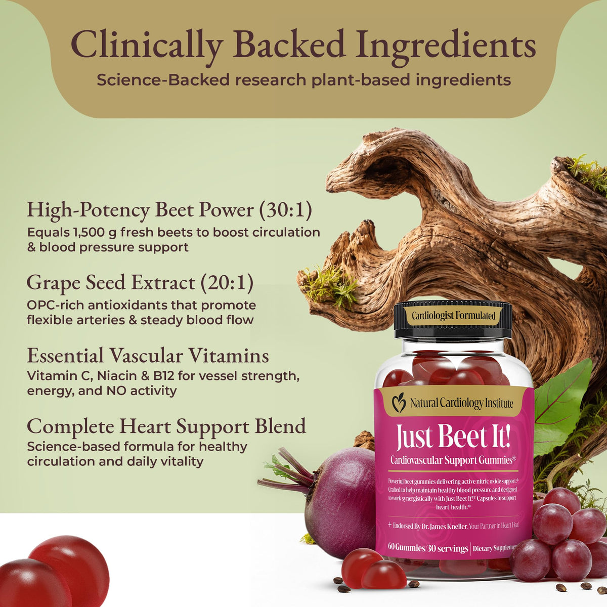 Beet Root Gummies & CoQ10 Y9505