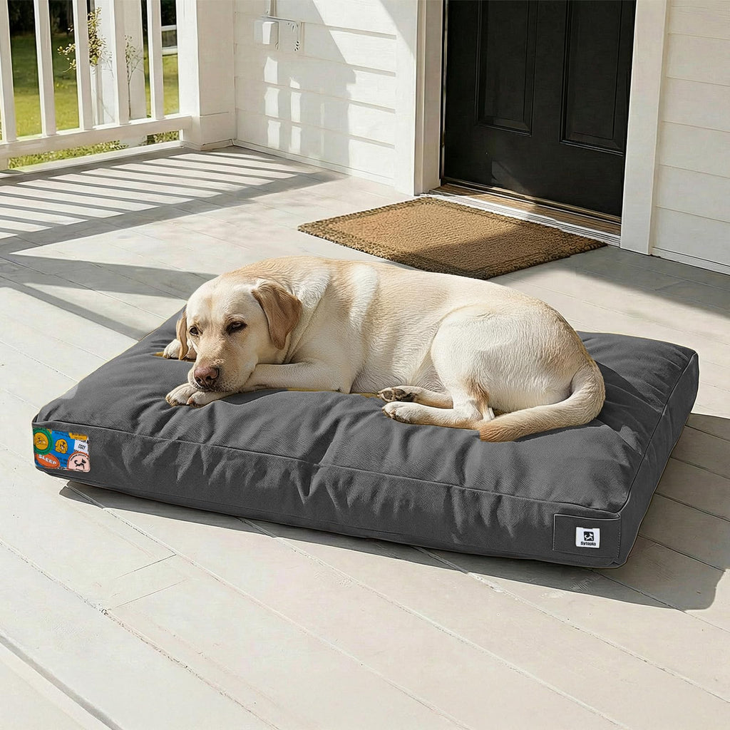 42 Inch Chew Proof Waterproof Washable Dog Bed Dark Grey C517590