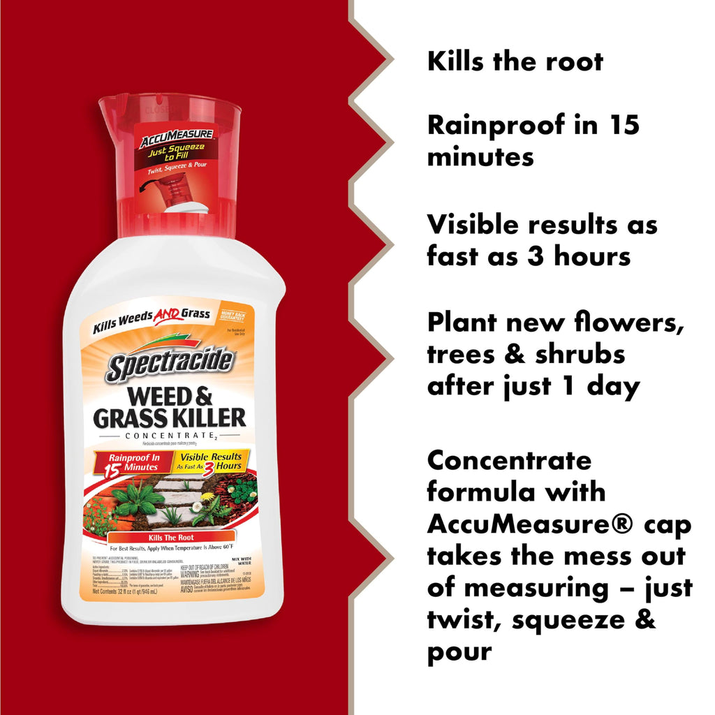 Weed and Grass Killer Concentrate 32 Oz W57841