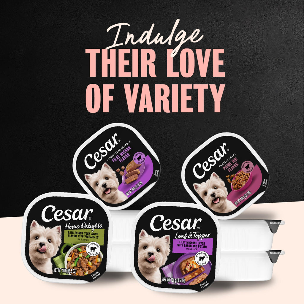 Steak Lovers Variety Pack Wet Dog Food 3.5 oz 36 Count F8325