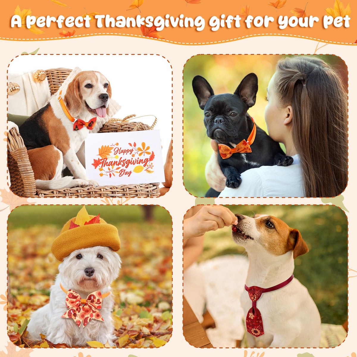 200 Pcs Dog Bow Ties Collars Set V90108