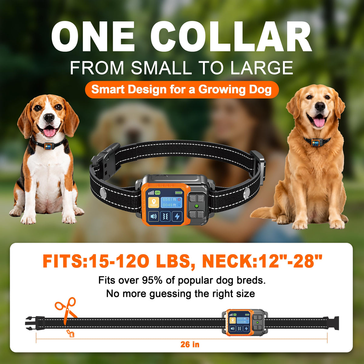 Wireless Dog Fence System Q10567