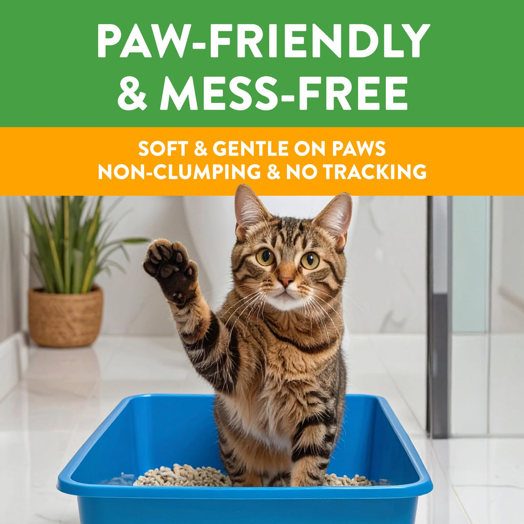 Non-Clumping Cat Litter 17lb R52396