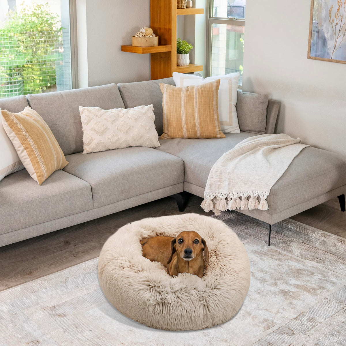 Small Taupe Dog Bed G742469