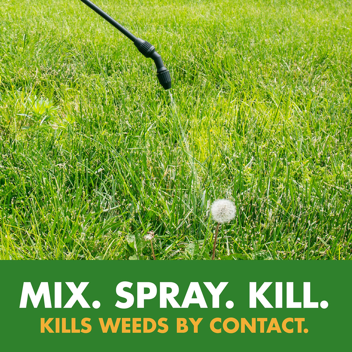 Weed and Crabgrass Killer Concentrate 40 Oz T1168