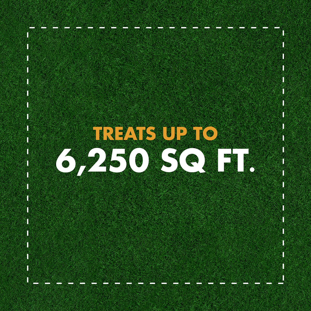 Weed and Crabgrass Killer Concentrate 40 Oz T1168