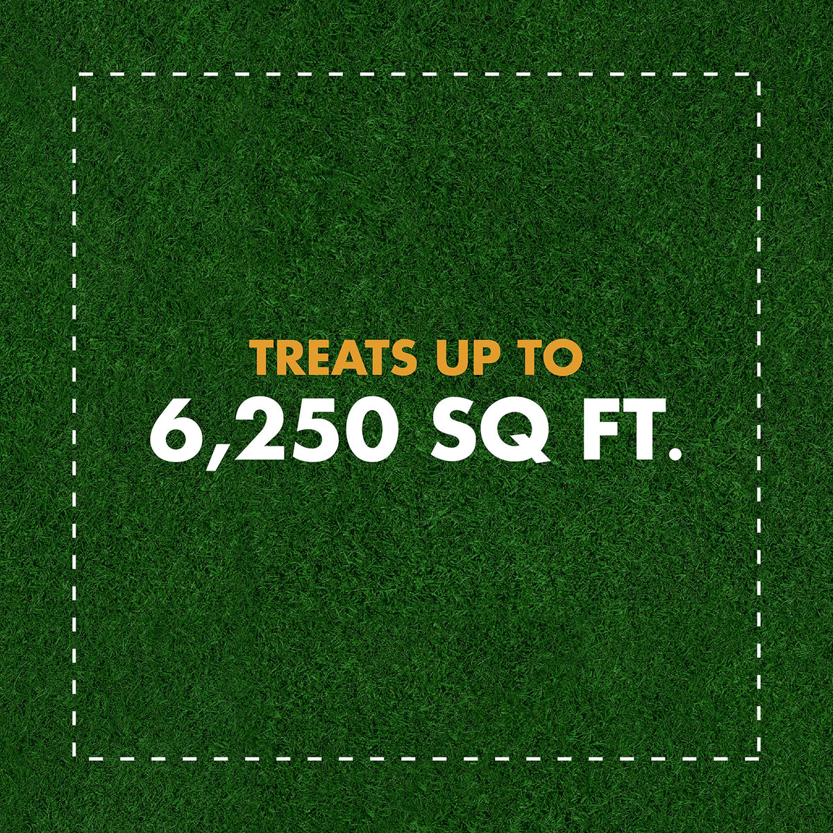 Weed and Crabgrass Killer Concentrate 40 Oz T1168